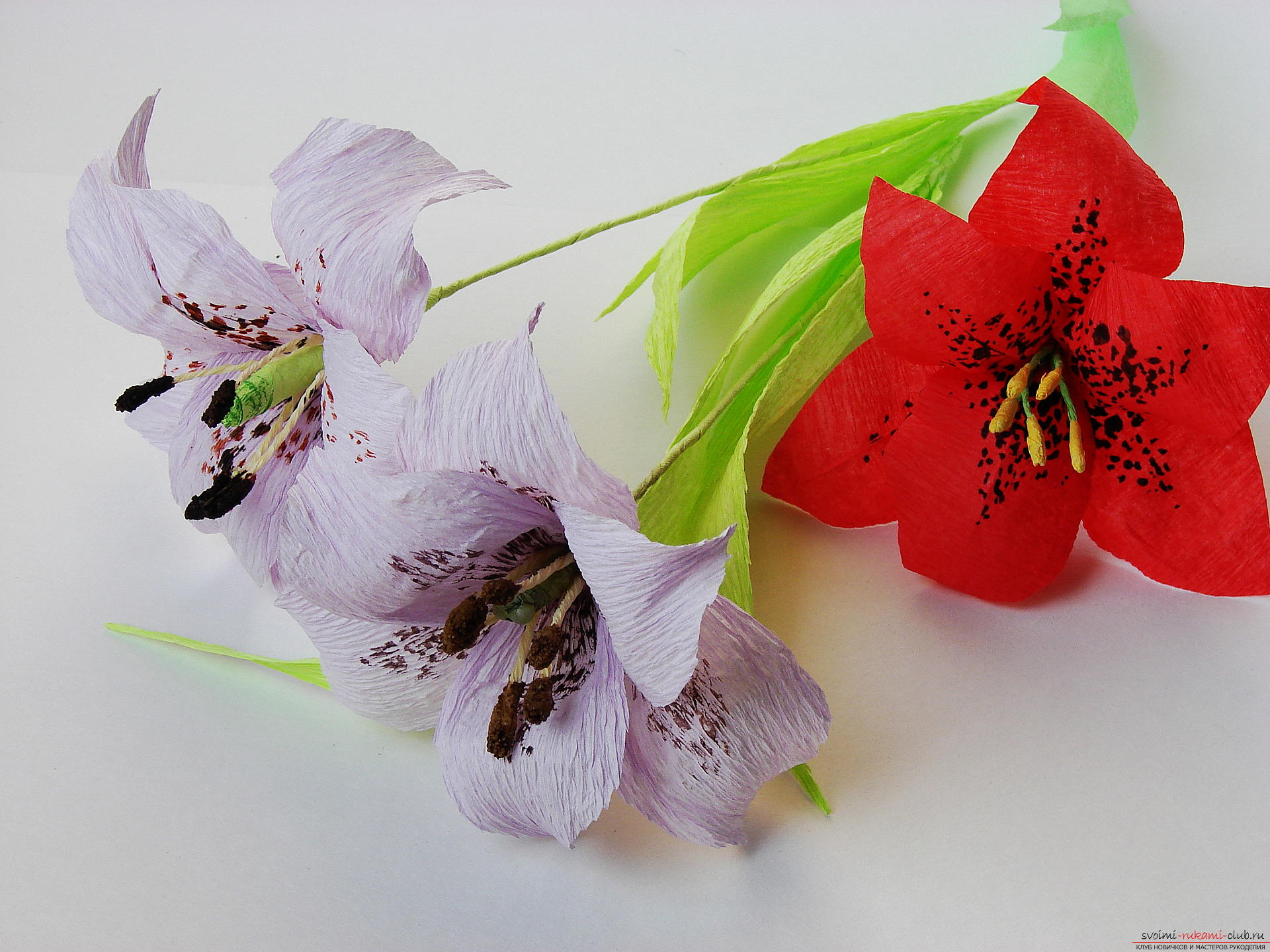 Мастер-класс научит как сделать гофрированные цветы своими руками – лилии из гофрированной бумаги.. Фото №37